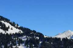 IMG-20220213-WA0024